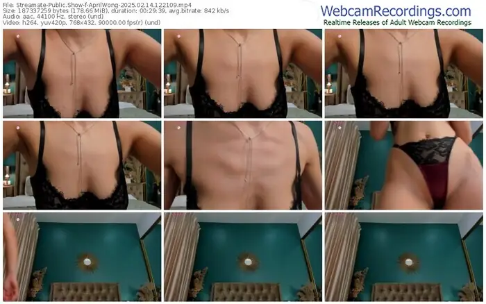 2025/02/14/streamate-aprilwong-12-21-09