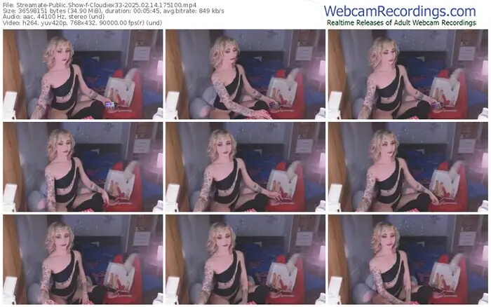 2025/02/14/streamate-cloudiex33-17-51-00