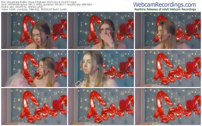 2025/02/14/streamate-robeen-11-47-27