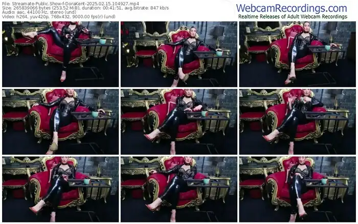 2025/02/15/streamate-dorakent-10-49-27