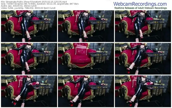 2025/02/15/streamate-dorakent-12-51-35