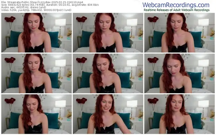 2025/02/15/streamate-lizzybex-22-41-10