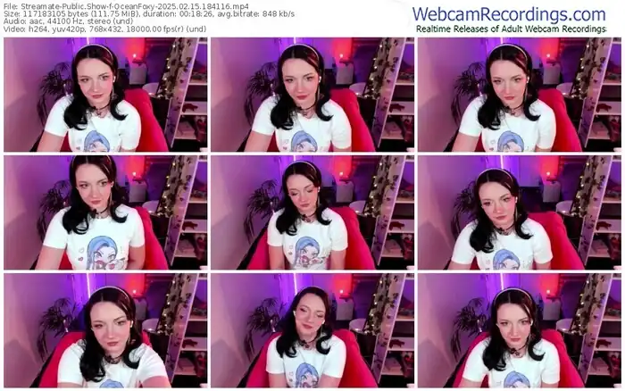 2025/02/15/streamate-oceanfoxy-18-41-16