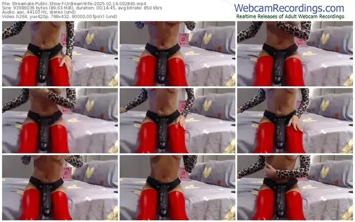 2025/02/16/streamate-urdreamwife-00-28-40