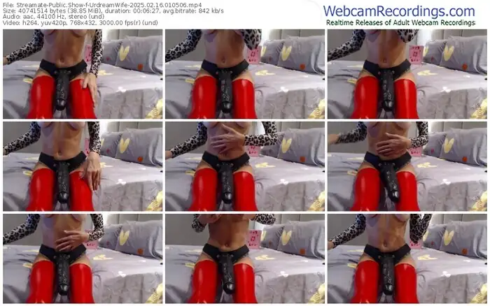 2025/02/16/streamate-urdreamwife-01-05-06