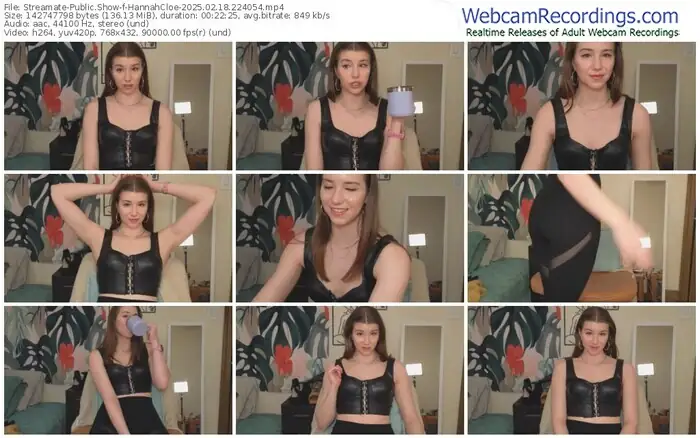 2025/02/18/streamate-hannahcloe-22-40-54