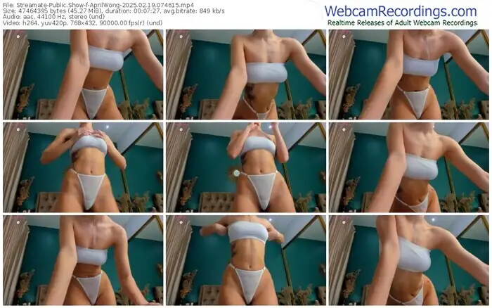 2025/02/19/streamate-aprilwong-07-46-15