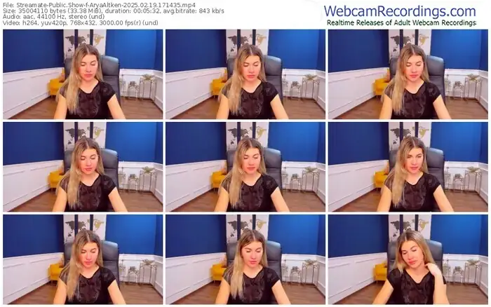 2025/02/19/streamate-aryaaltken-17-14-35