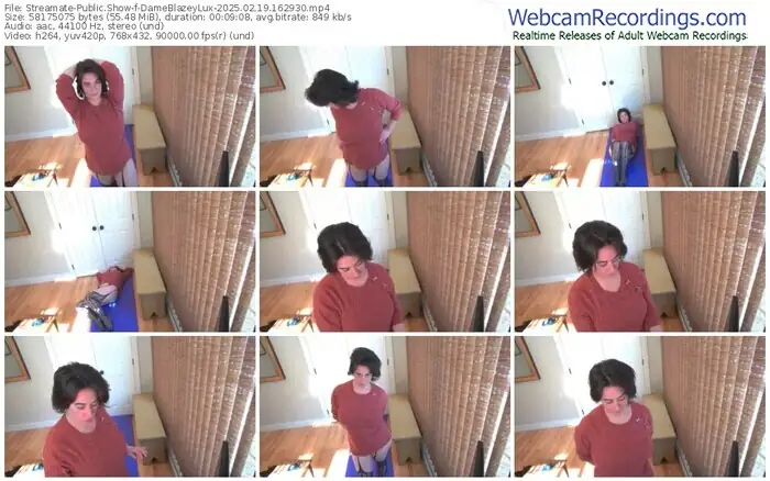 2025/02/19/streamate-dameblazeylux-16-29-30