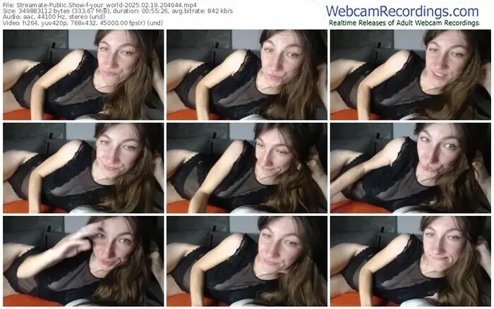 2025/02/19/streamate-your_world-20-40-44
