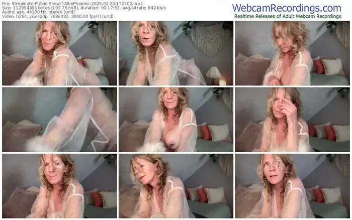 2025/02/20/streamate-alliephoenix-17-27-02