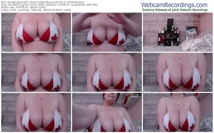 2025/02/21/streamate-nikkiskye-06-20-49