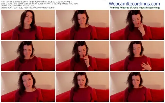2025/02/22/streamate-squirtybutterflyx-18-42-06