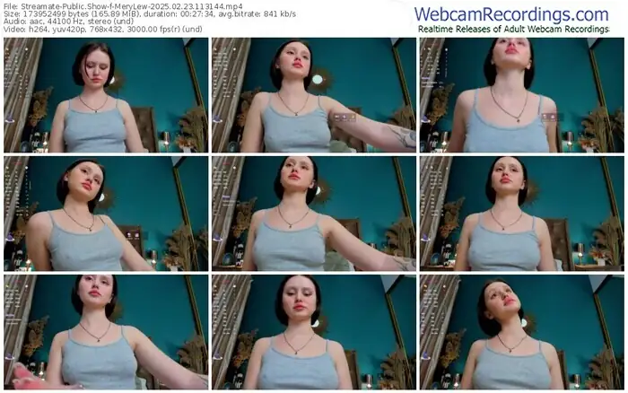 2025/02/23/streamate-merylew-11-31-44