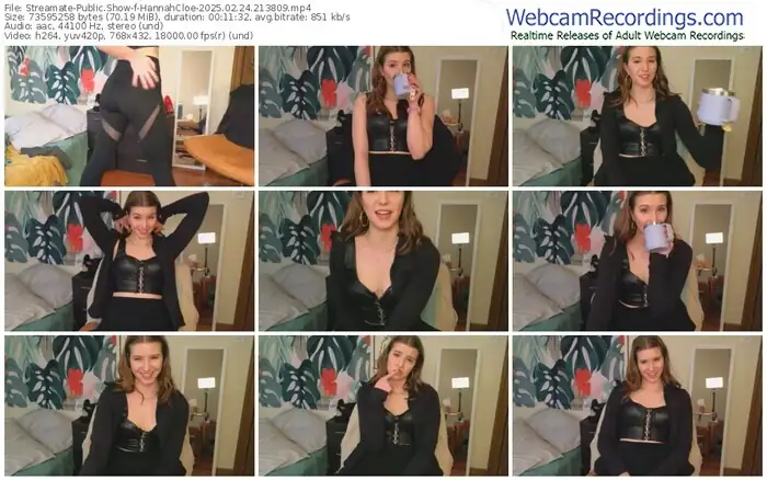 2025/02/24/streamate-hannahcloe-21-38-09