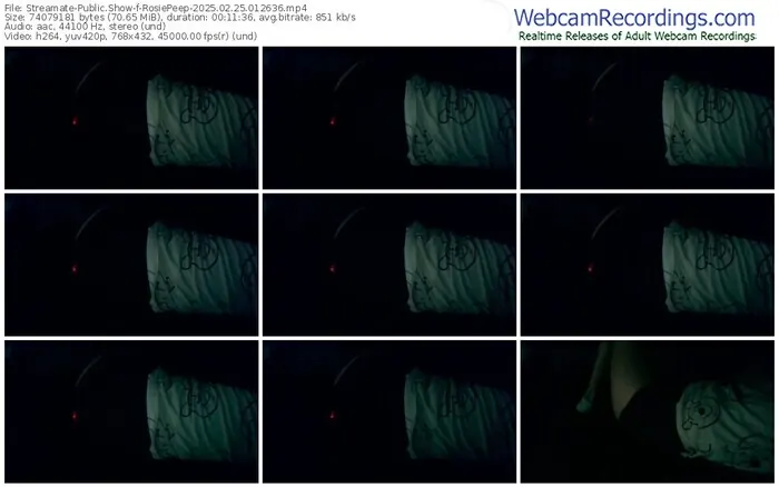 2025/02/25/streamate-rosiepeep-01-26-36