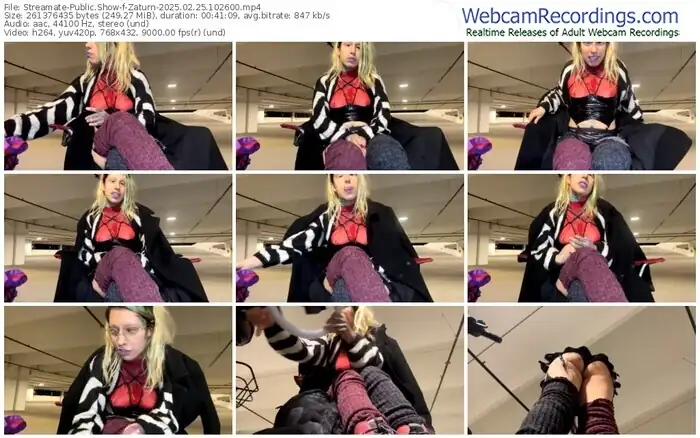 2025/02/25/streamate-zaturn-10-26-00