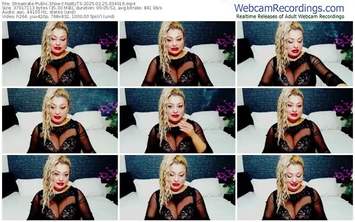 2025/02/25/streamate-nattyts-03-40-16