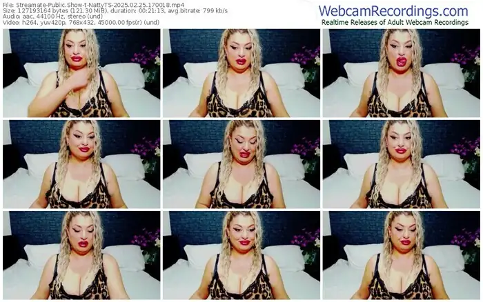 2025/02/25/streamate-nattyts-17-00-18