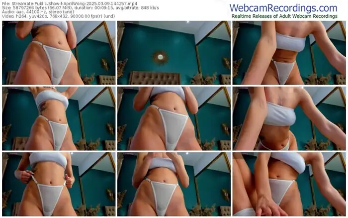 2025/03/09/streamate-aprilwong-14-42-57