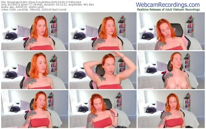 2025/03/09/streamate-unoitsroe-17-33-09