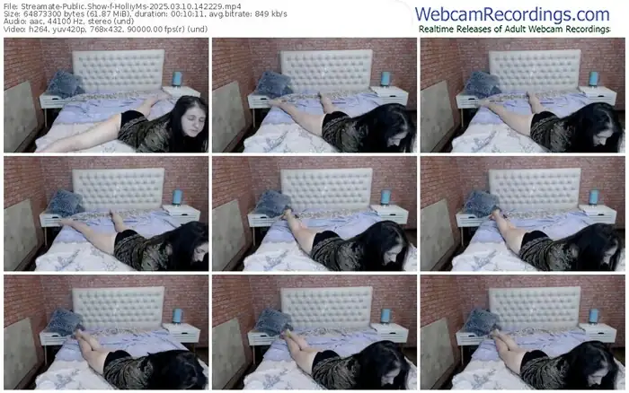 2025/03/10/streamate-holliyms-14-22-29