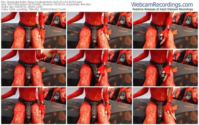 2025/03/10/streamate-urdreamwife-19-27-53