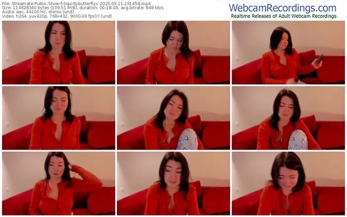 2025/03/11/streamate-squirtybutterflyx-19-14-58