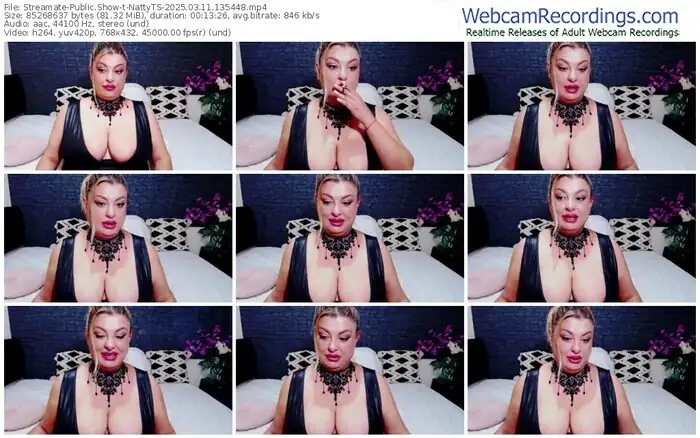 2025/03/11/streamate-nattyts-13-54-48