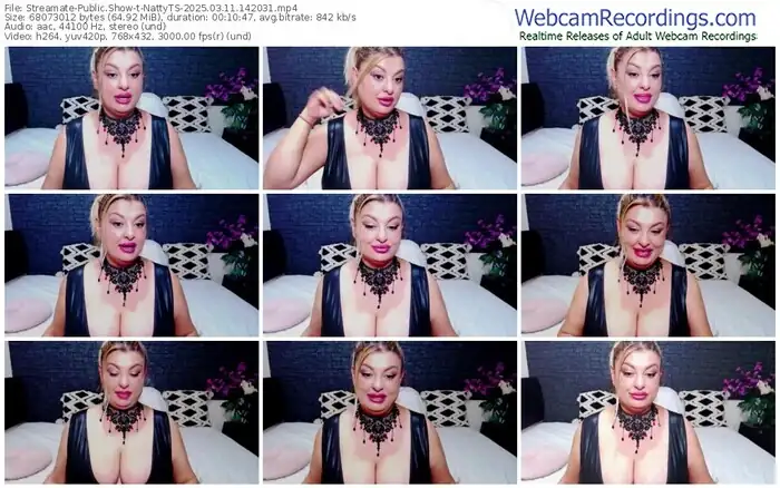 2025/03/11/streamate-nattyts-14-20-31