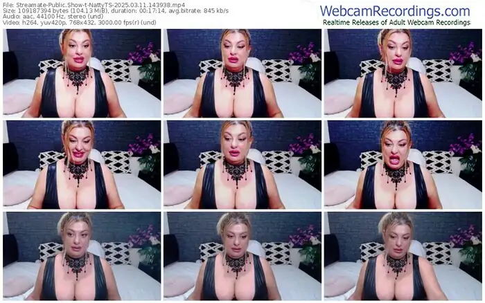 2025/03/11/streamate-nattyts-14-39-38