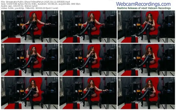 2025/03/12/streamate-almaperun-09-58-09