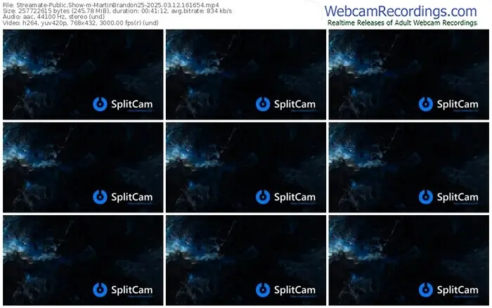 2025/03/12/streamate-martinbrandon25-16-16-54