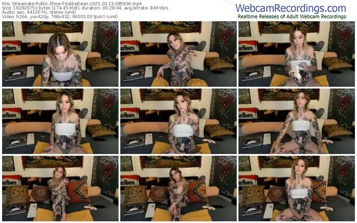 2025/03/13/streamate-eddiedean-08-56-36