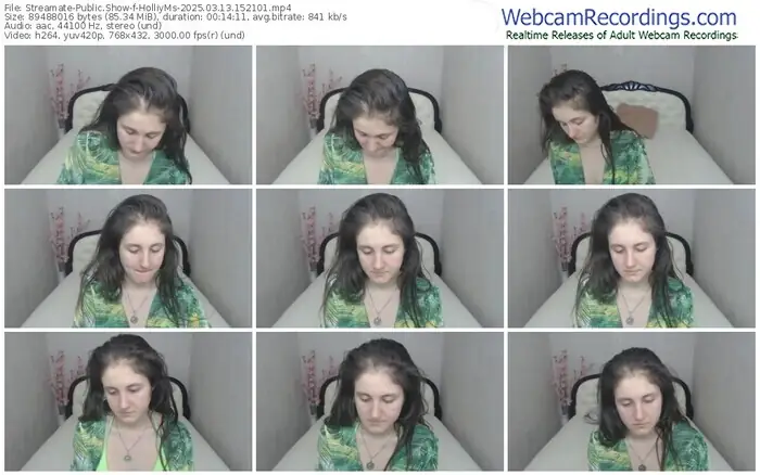 2025/03/13/streamate-holliyms-15-21-01