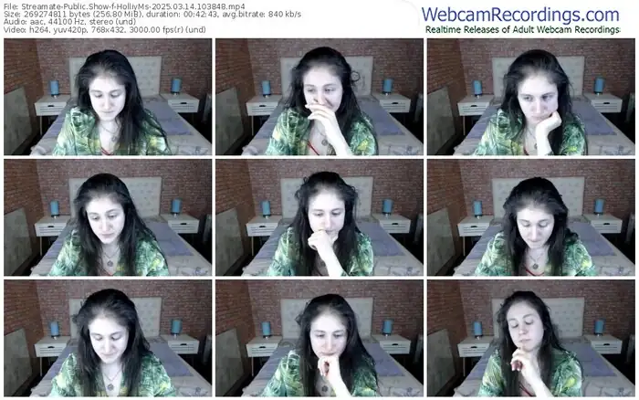 2025/03/14/streamate-holliyms-10-38-48