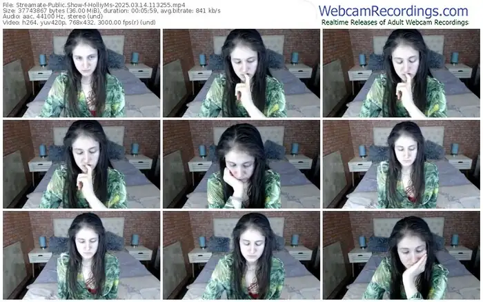 2025/03/14/streamate-holliyms-11-32-55