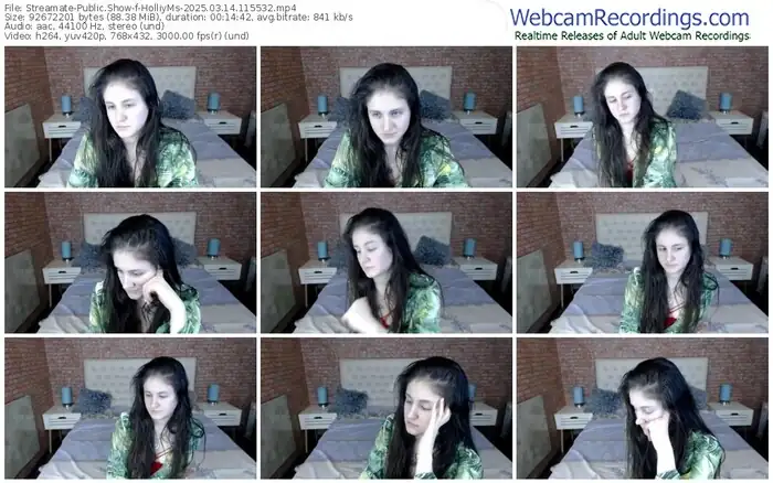 2025/03/14/streamate-holliyms-11-55-32