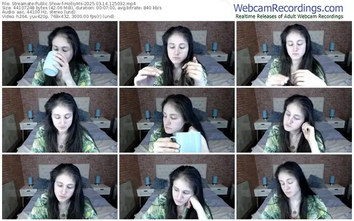 2025/03/14/streamate-holliyms-12-50-32