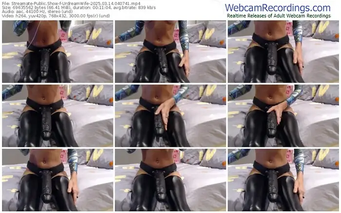 2025/03/14/streamate-urdreamwife-04-07-41