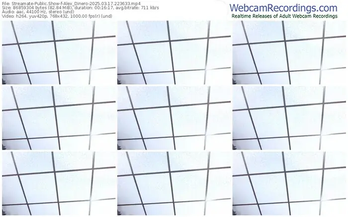 2025/03/17/streamate-alex_dinero-22-36-33