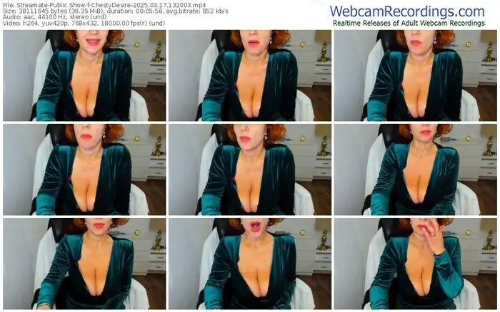 2025/03/17/streamate-chestydesire-13-20-03