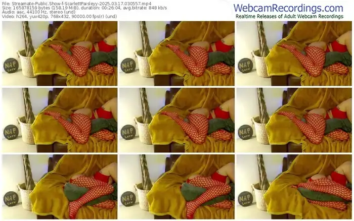 2025/03/17/streamate-scarlettpaisleyy-03-05-57