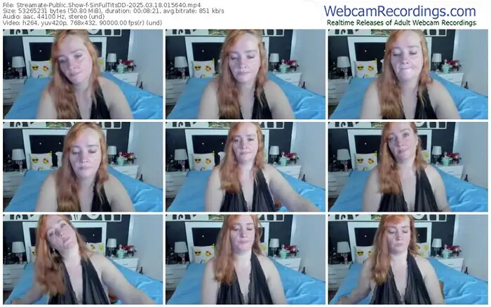 2025/03/18/streamate-sinfultitsdd-01-56-40