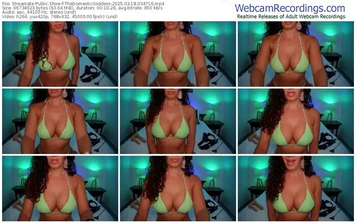 2025/03/18/streamate-thedomesticgoddess-03-47-16