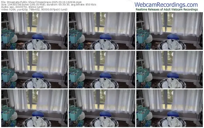 2025/03/19/streamate-hopegrace-16-26-34