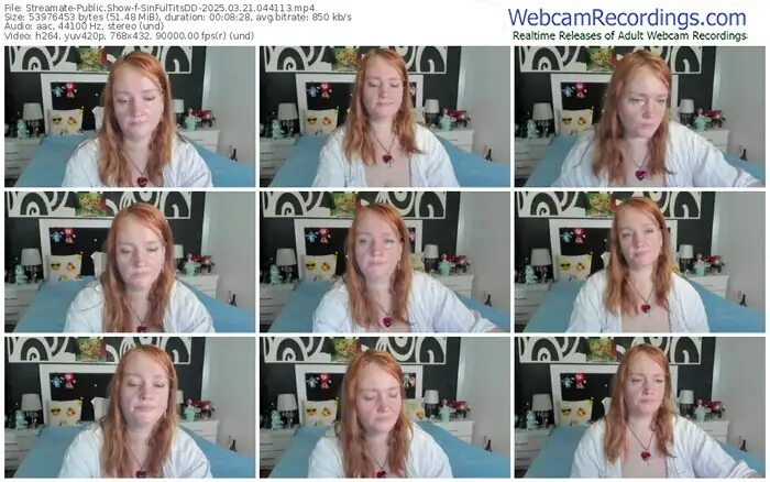 2025/03/21/streamate-sinfultitsdd-04-41-13