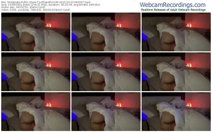 2025/03/23/streamate-justhavefun199-08-33-47
