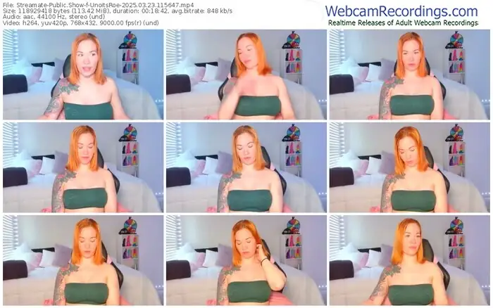 2025/03/23/streamate-unoitsroe-11-56-47