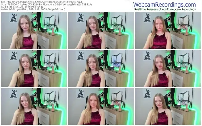 2025/03/25/streamate-nancyxstar-13-35-31